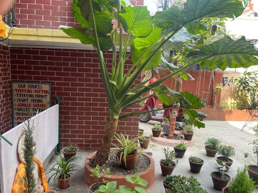 Nirvana Green Peace Home Kathmandu Exterior photo