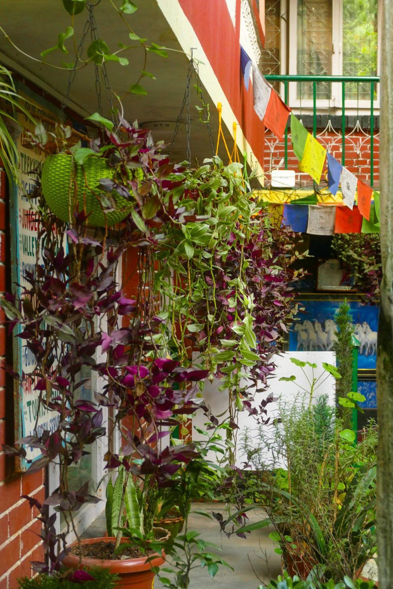 Nirvana Green Peace Home Kathmandu Exterior photo