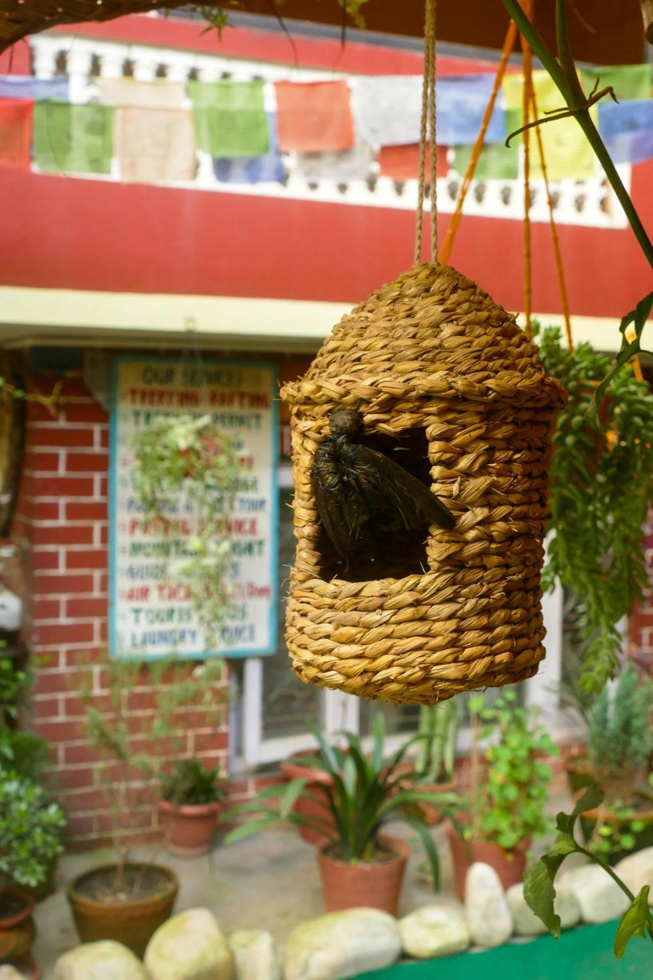 Nirvana Green Peace Home Kathmandu Exterior photo